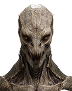 Vharkoni